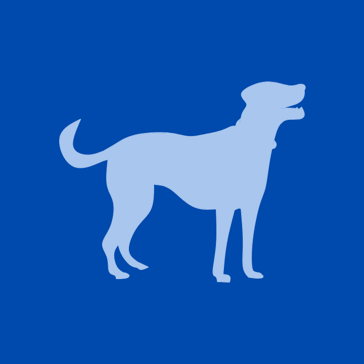 Chien - Ostéopathie à domicile