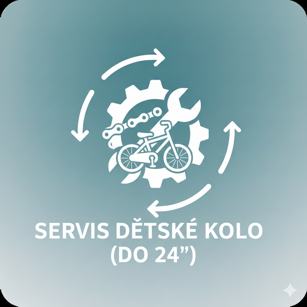 Servis dětské kolo ( do 24")