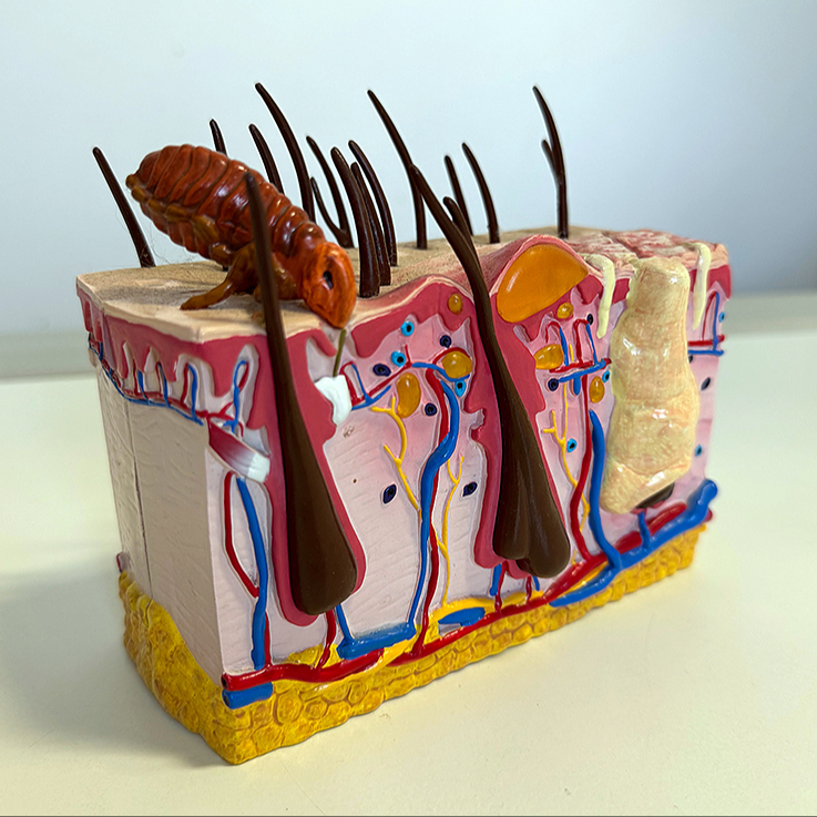 Kontrola - kočky