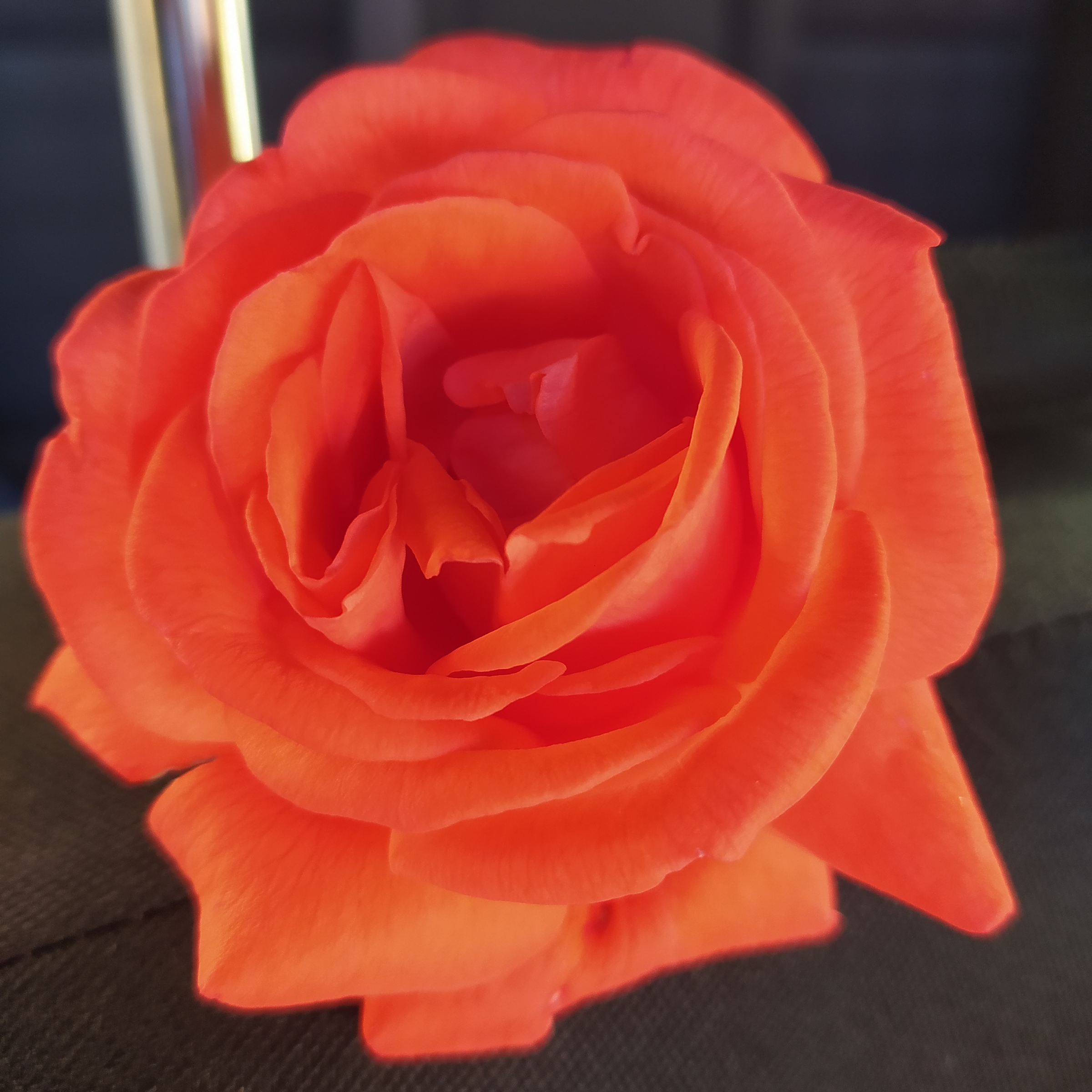 Vedená zklidňující hluboká MEDITACE