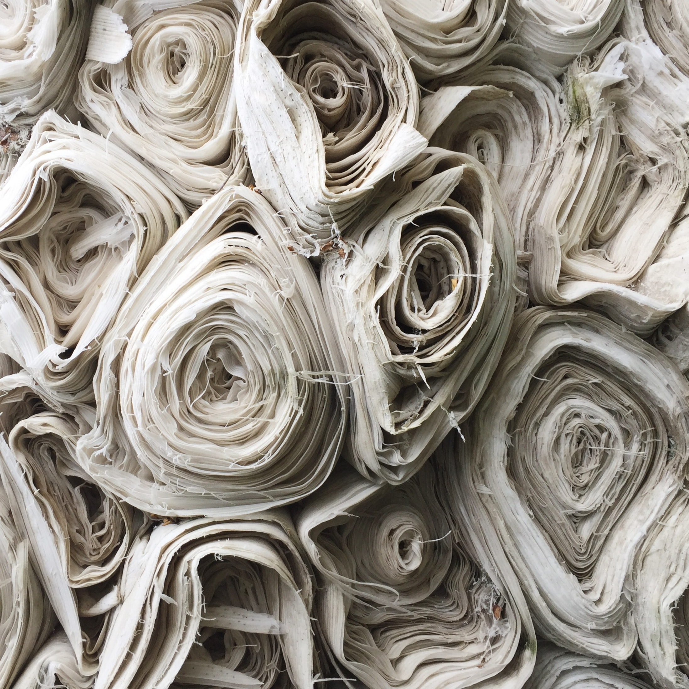 Rendez-vous | Entoilage