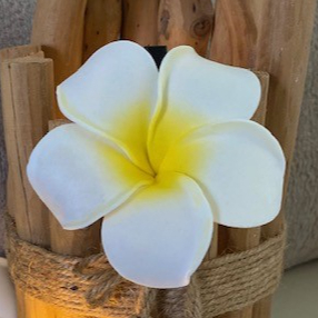 Achats de produits et/ou Bons cadeaux