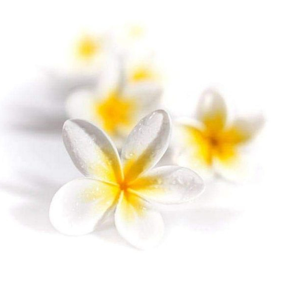 * Échappée & Enveloppée * 2h *