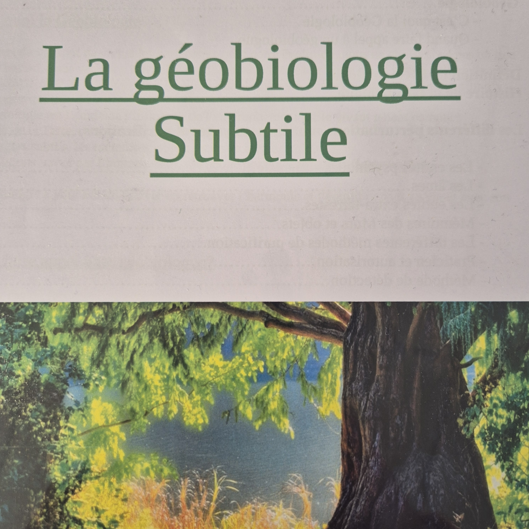 Geobiologie Subtile/ Nettoyage de Lieux