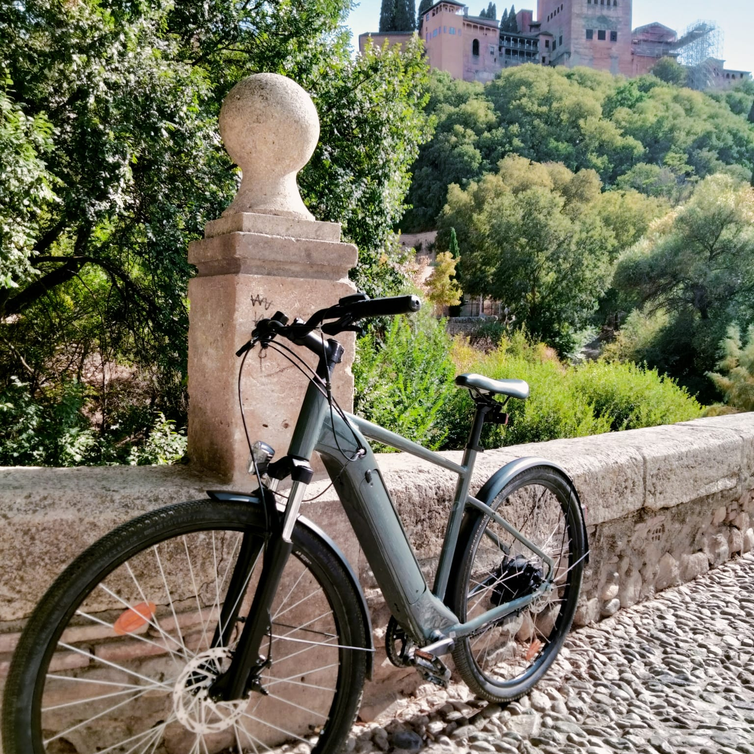 Granada Slow E-Bike Free Tour ITA