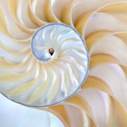 Hypnose régressive "Vies antérieures" PARIS (+entretien visio)