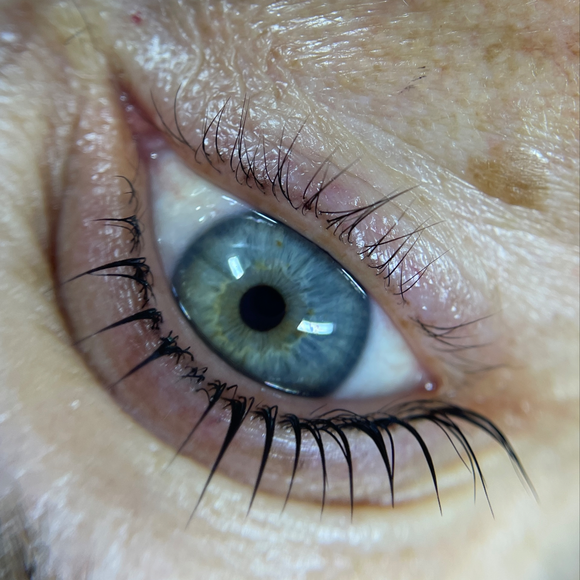 Korejský lash lifting