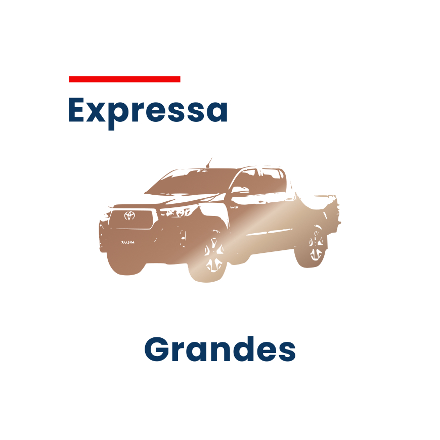 Lavagem Expressa - Grandes