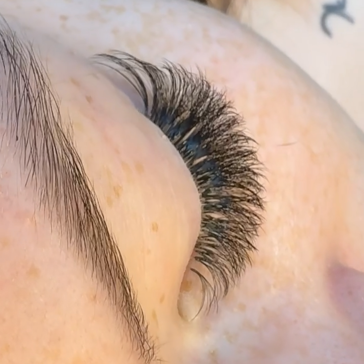 Nytt sett vippeextension (Klassisk)