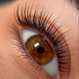 Laminace řas / Eyelash lamination