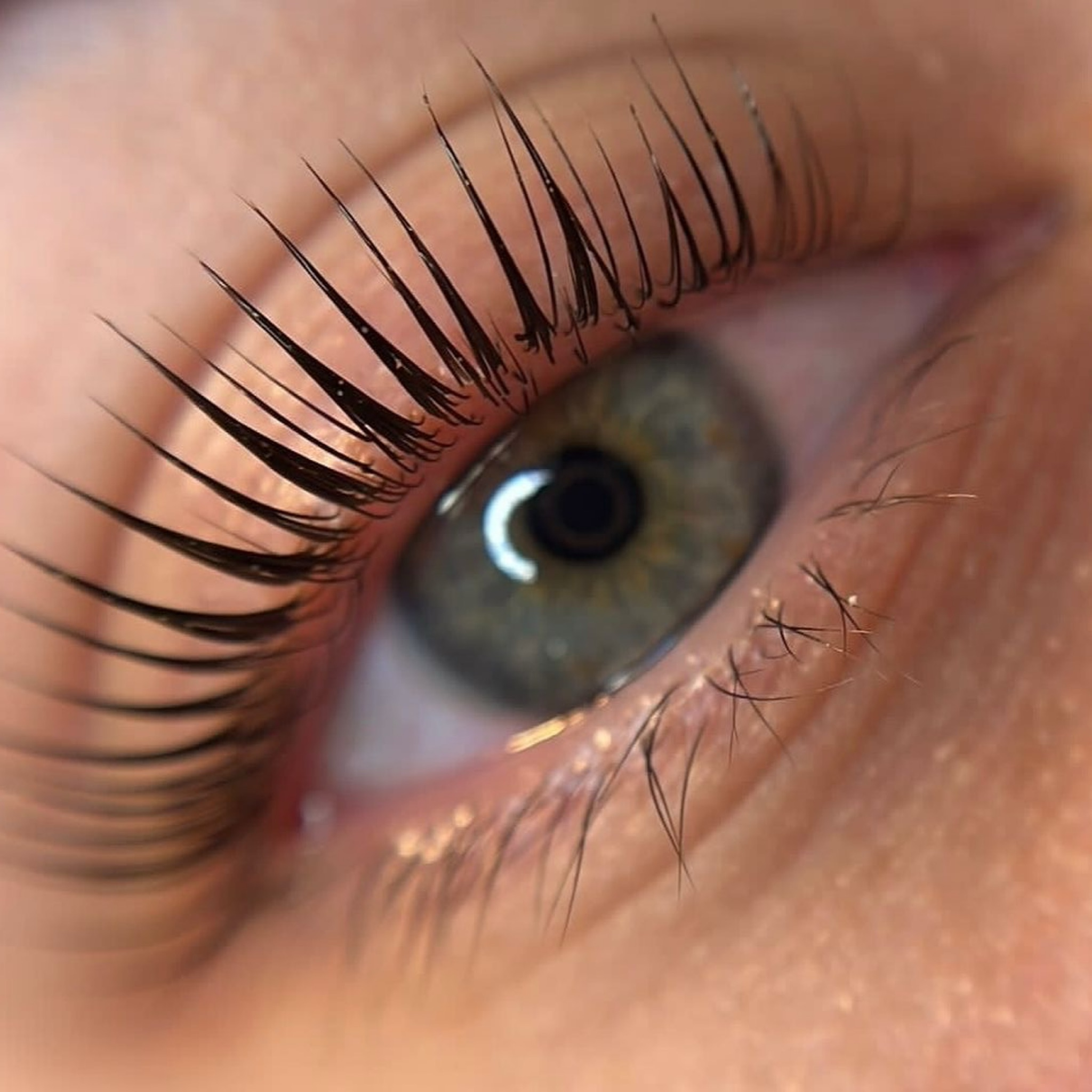 Lash Lifting řas