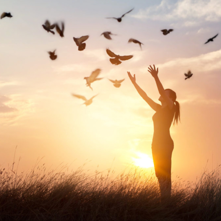 Accompagnement 6H Le Soin du Vivant® VISIO (2 à 3 mois)