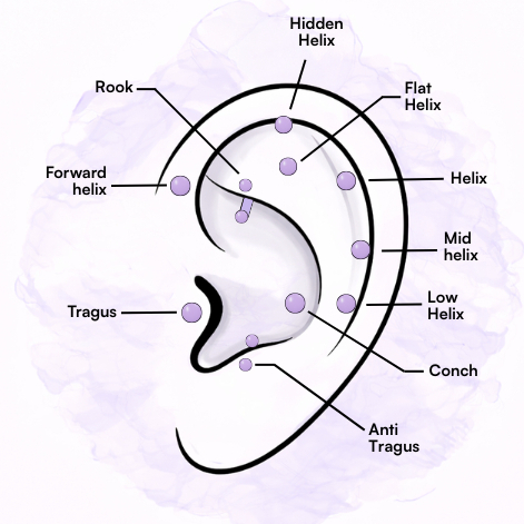 Piercing chrupavky (od 15 let s písemným souhlasem rodiče)