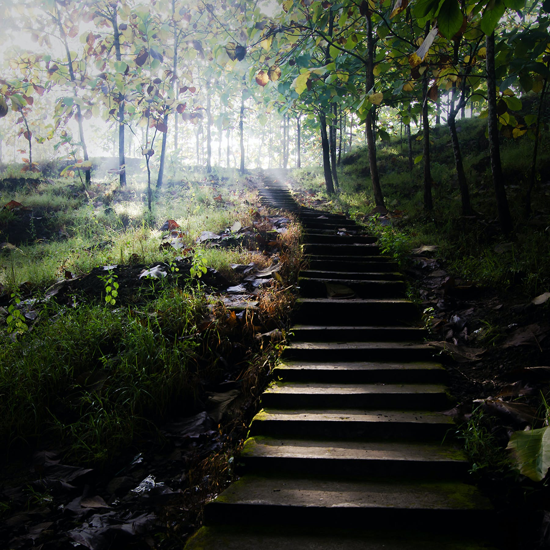 Se libérer de toute forme de magie noire