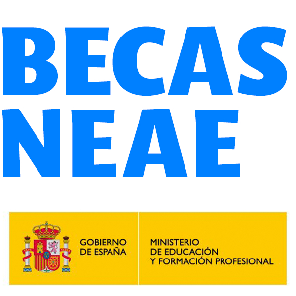 Gestión de Becas NEAE