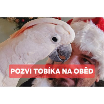 Pozvi Tobika na oběd
