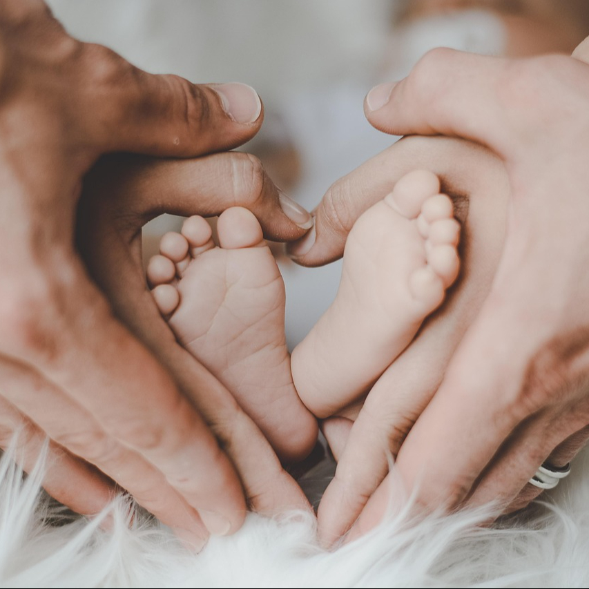 Accompagnement en périnatalité et parentalité / 2 formules