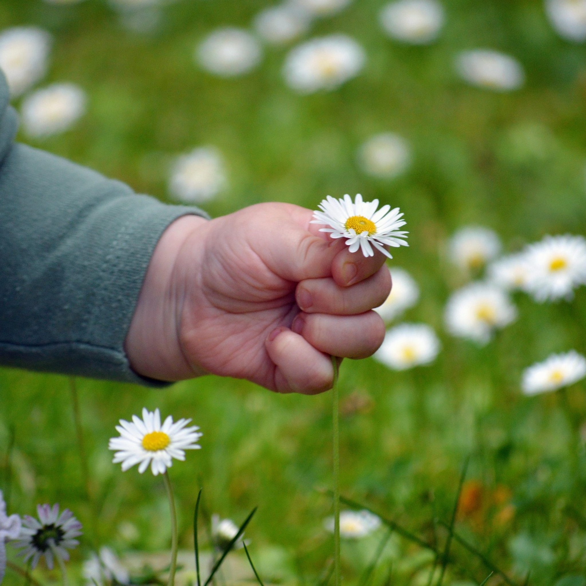 Séance Magnétisme Enfant (à distance)