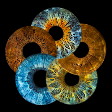 Séance IRIS en Quintette (5 pers.)