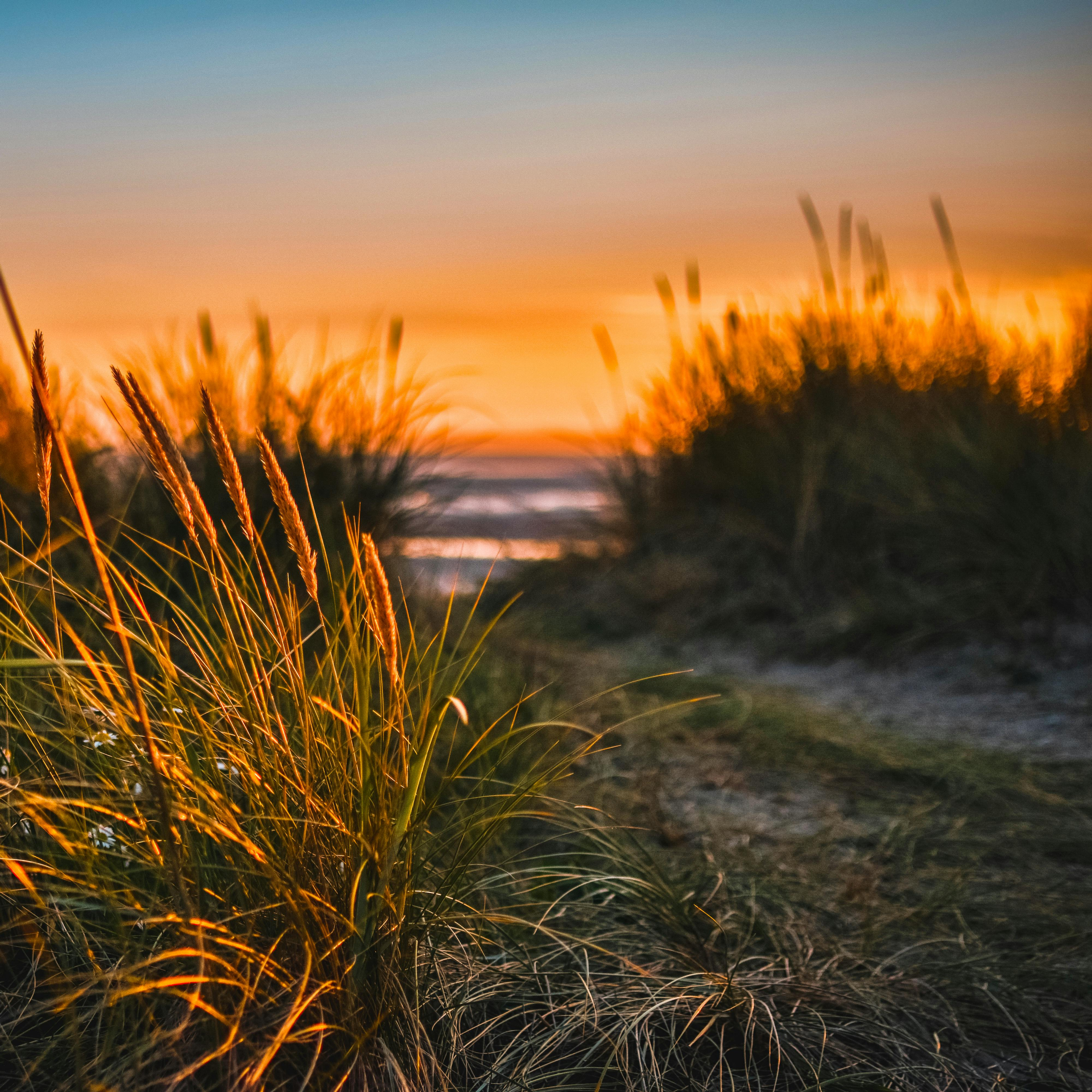 MON ACCOMPAGNEMENT - INTENSIF