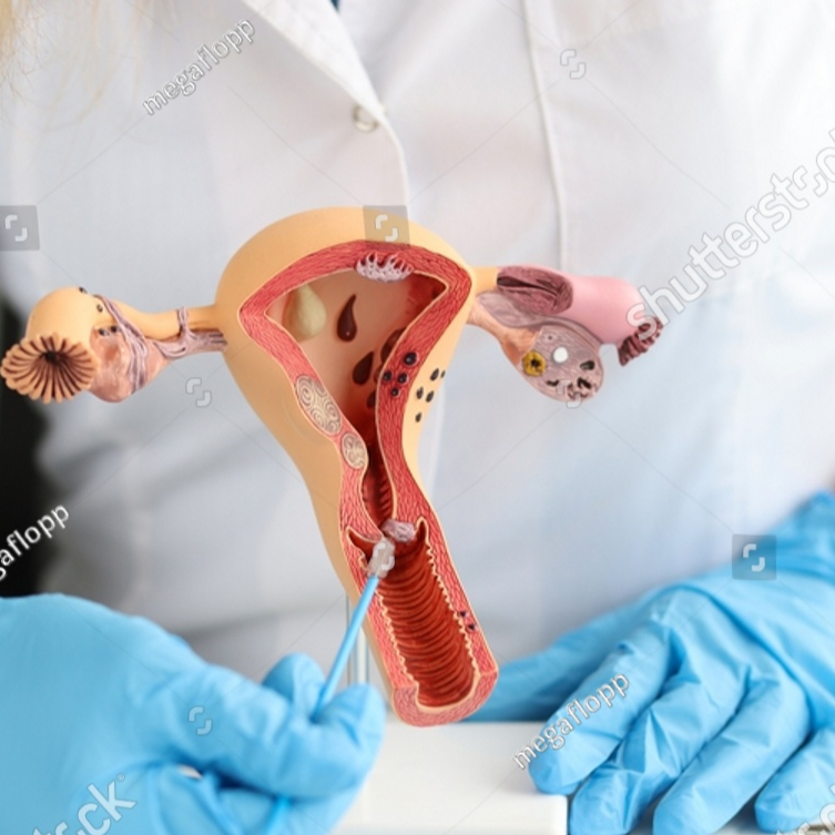 Visita Ginecologica + PAP o HPV Test