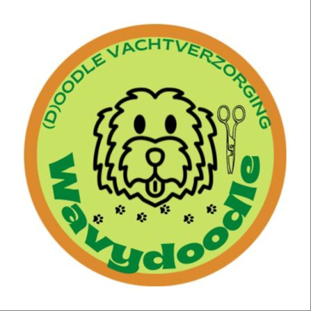 Stressvrije workshop doodle trimmen