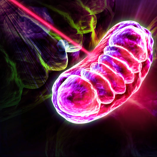Fotobiomodulación Transcraneal con Láser