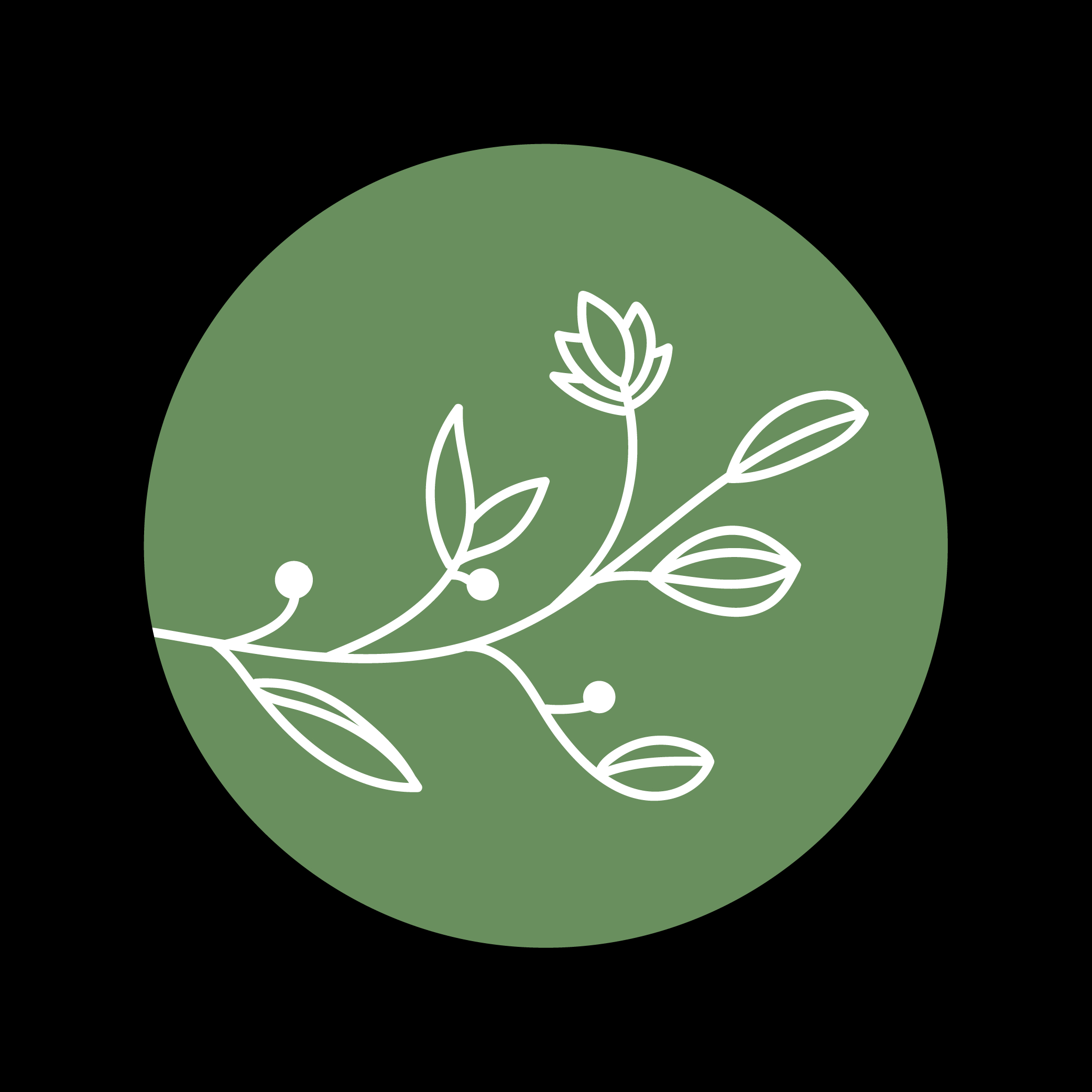 Balíček OLIVE 5 + 1 terapie