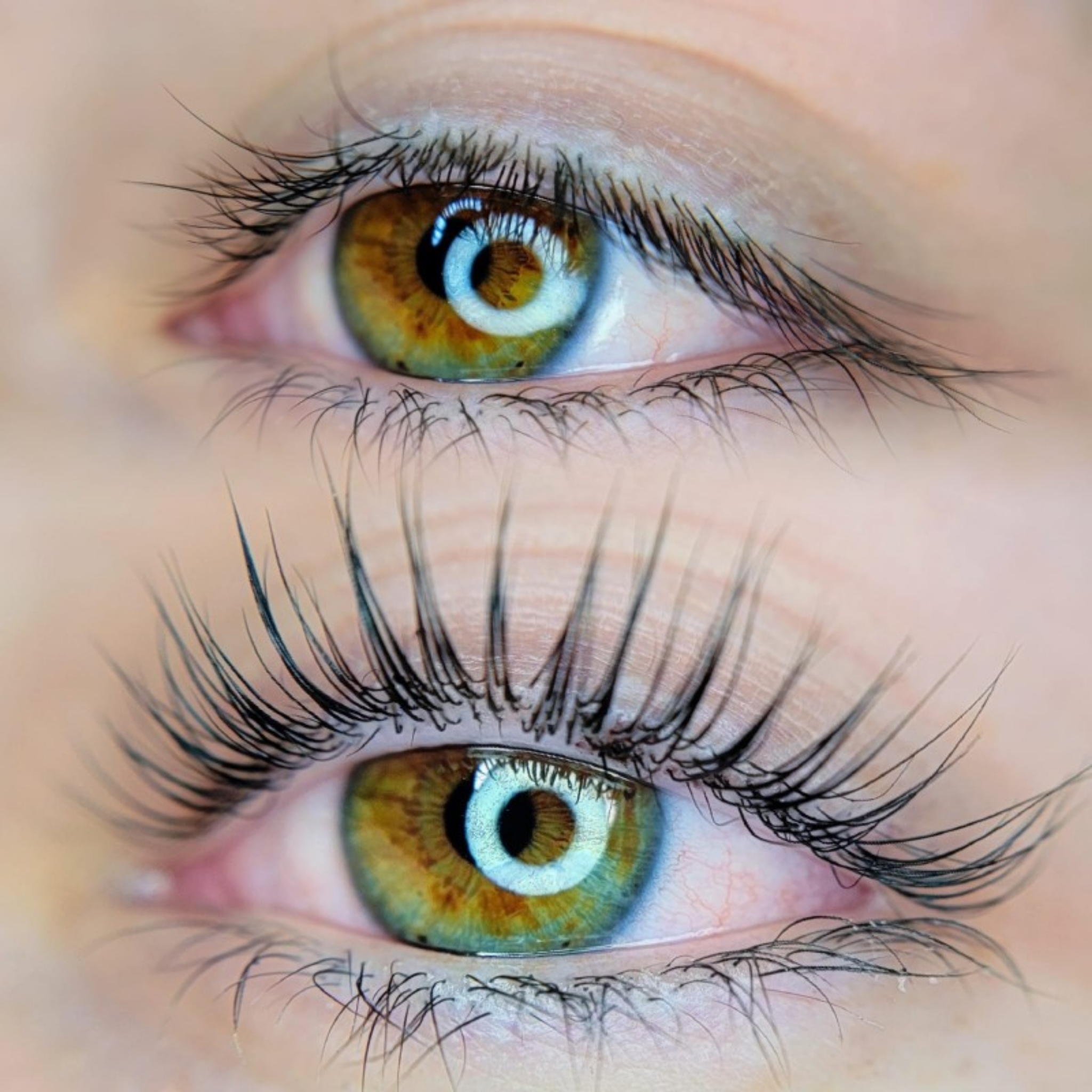 Rehaussement de cils et coloration
