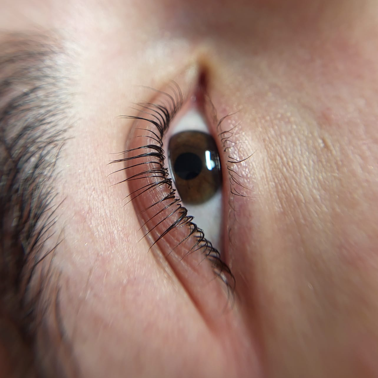 Korejský lashlifting