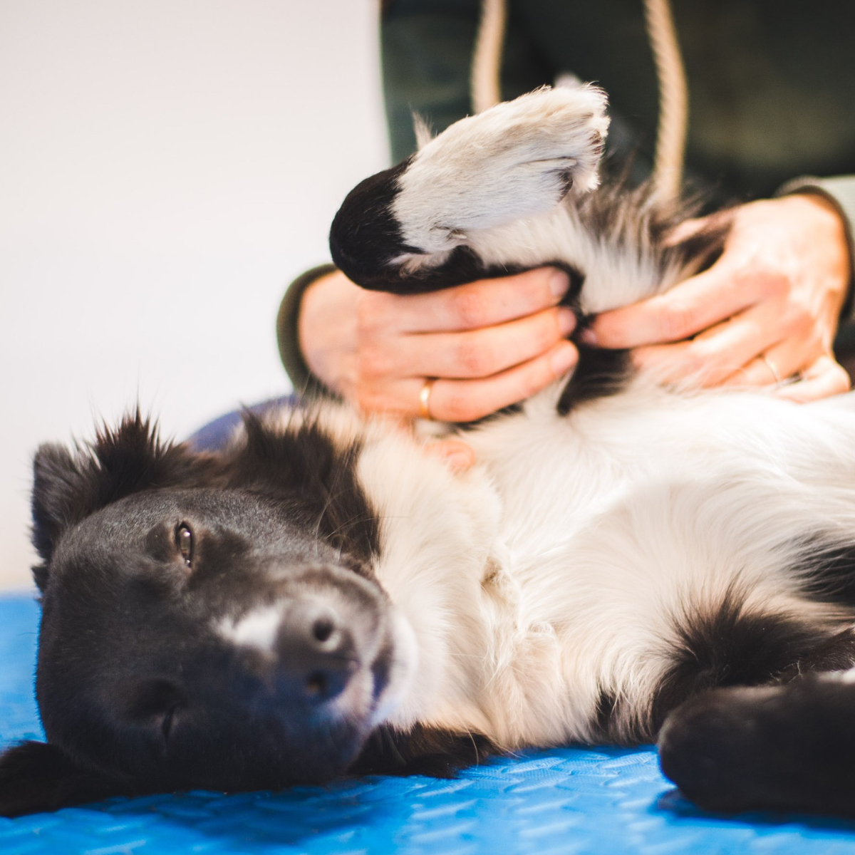 Fyzio domů - Vstupní konzultace a ošetření