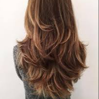 Shp + coupe + brushing cheveux long