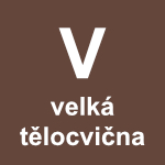 Velká tělocvična 3,5 hodiny