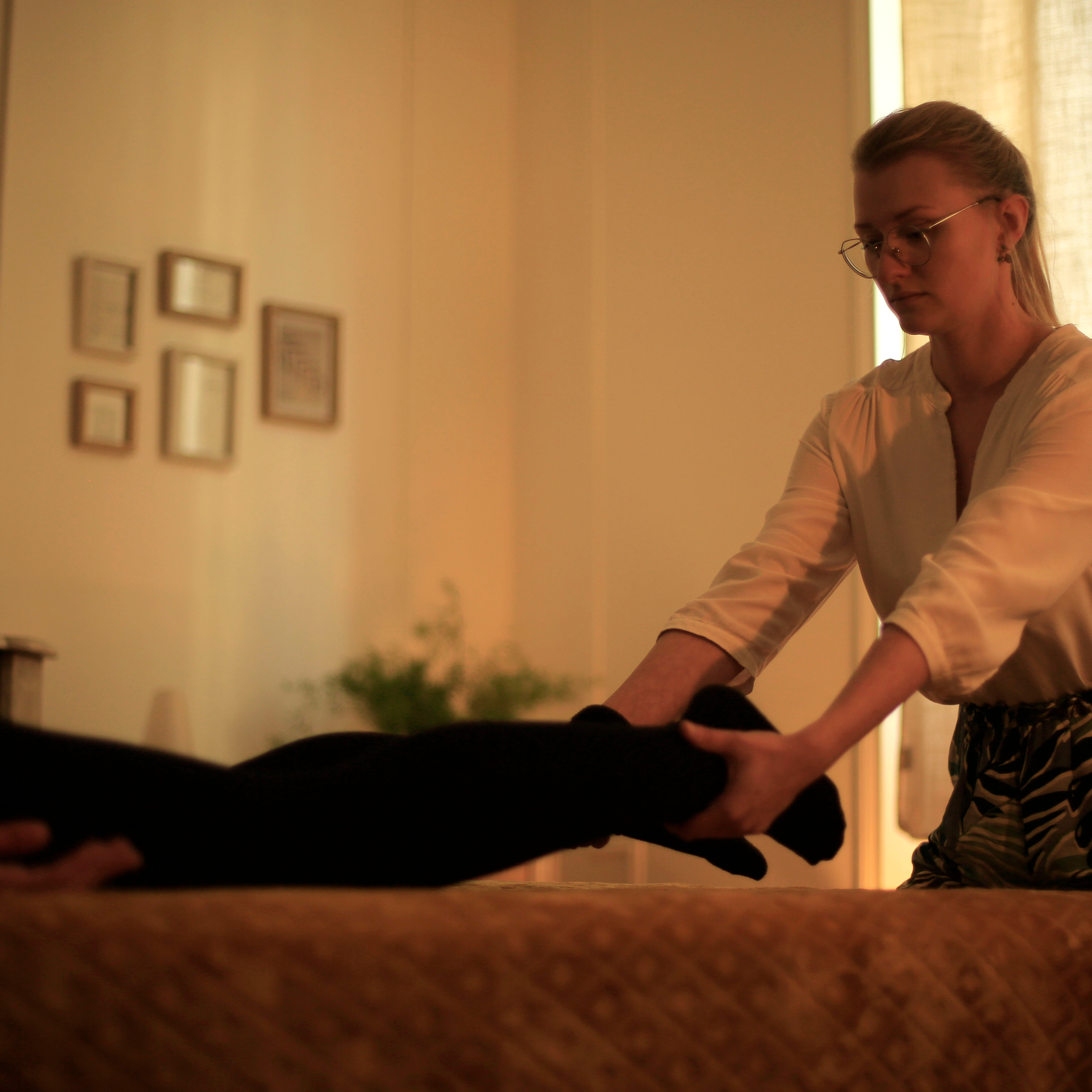 Shiatsu bien-être | 1h00