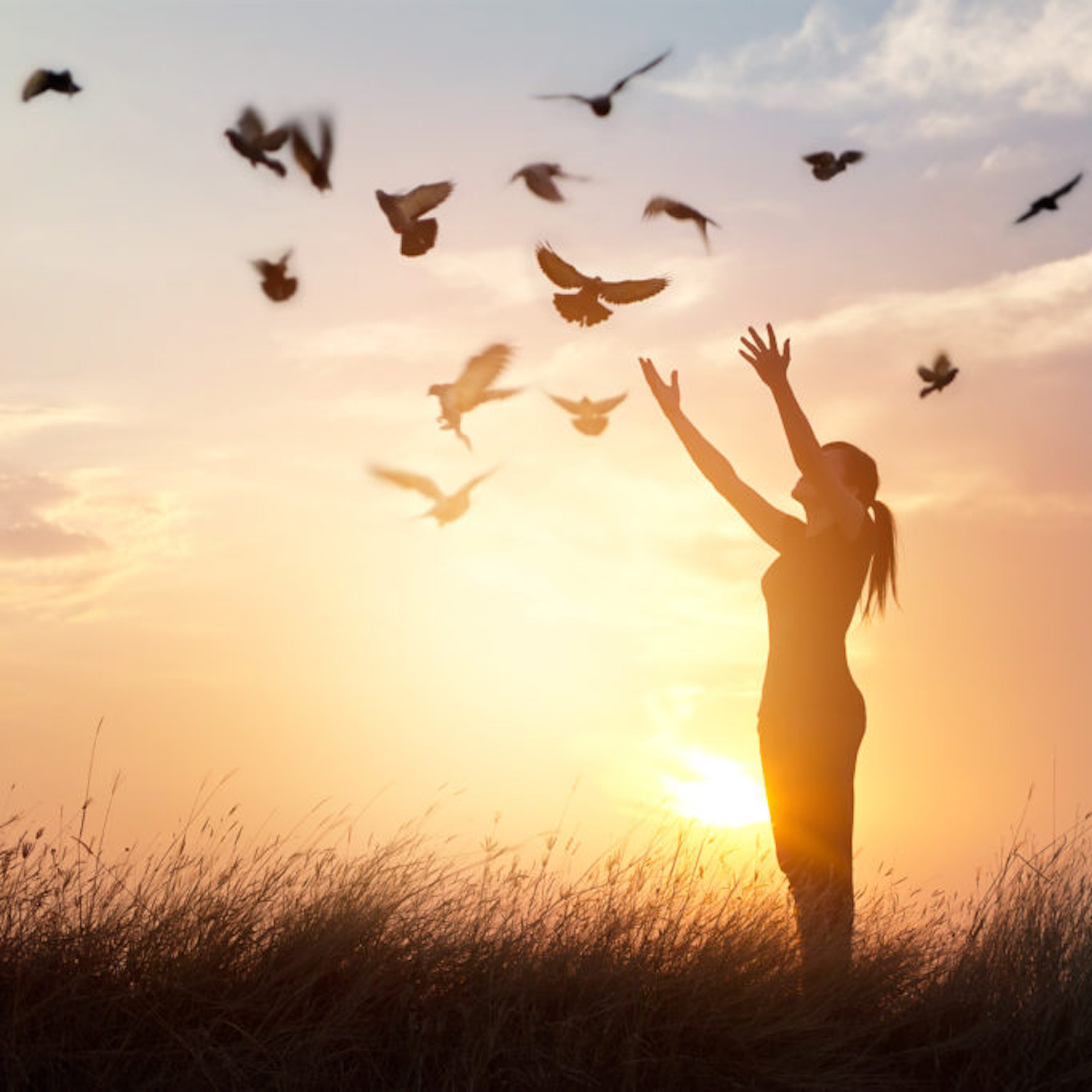 Séance de suivi Le Soin du Vivant® VISIO