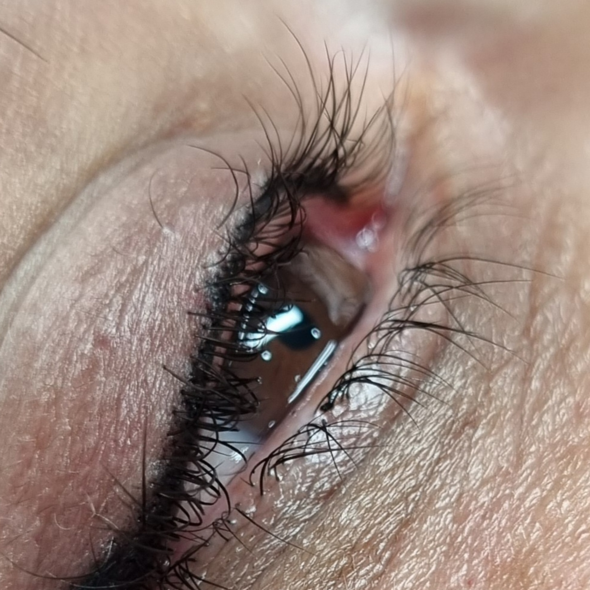 Yeux,Ras de cils structuré = intensification Ciliaires