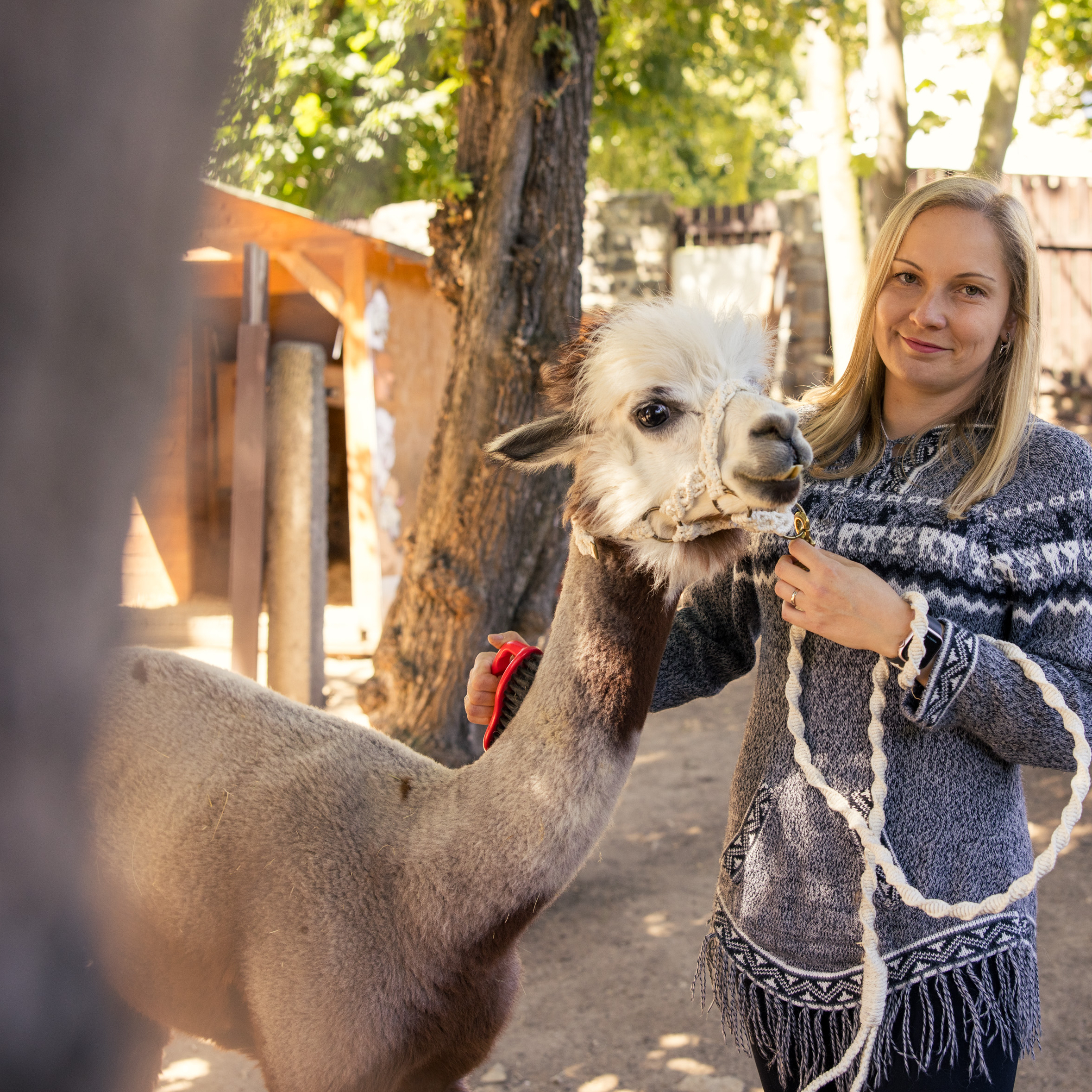 Expedice vyhlídky - trek pro dospělé (1,5 - 2 hodiny, 5 - 6 km)