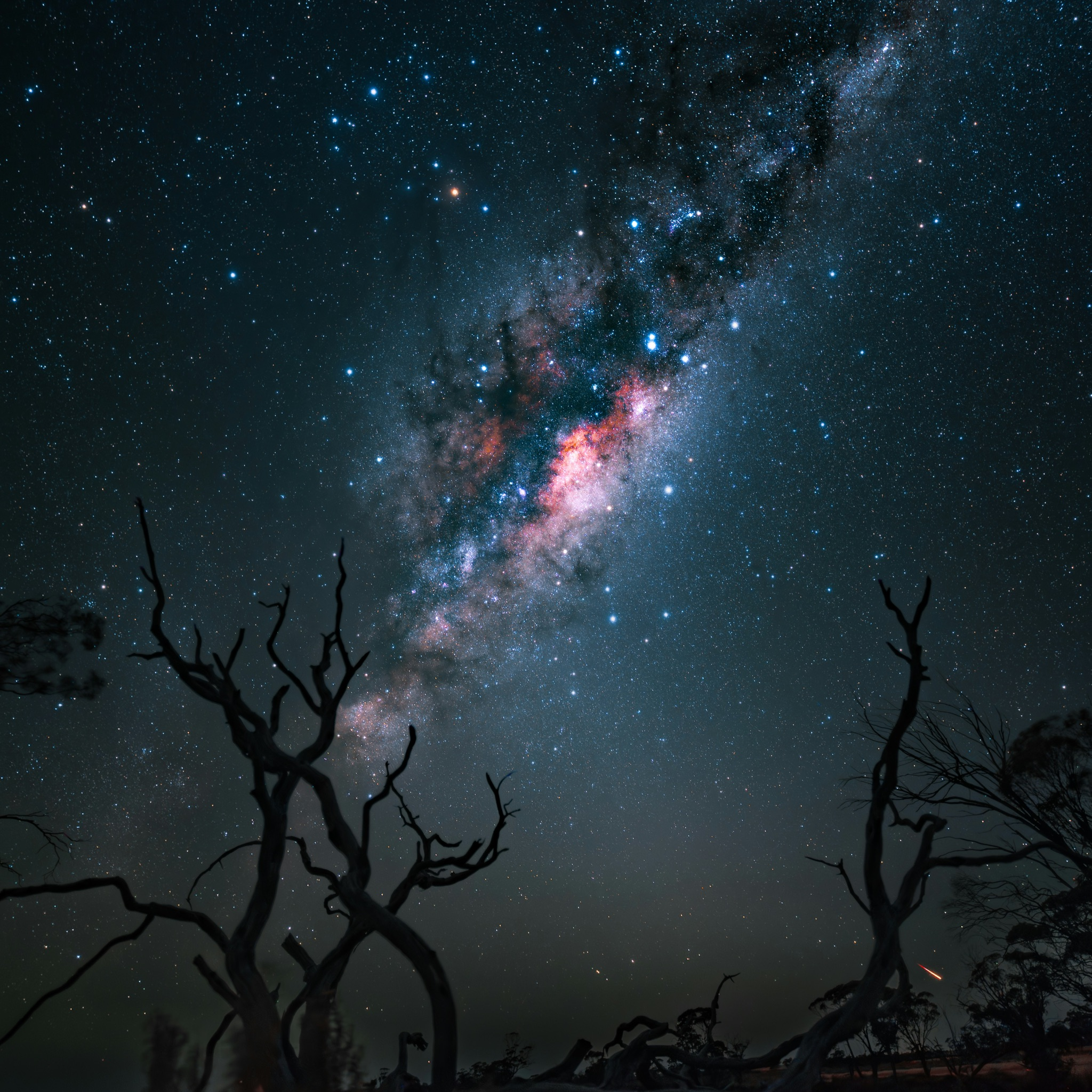 • Lectura de tránsitos trimestrales