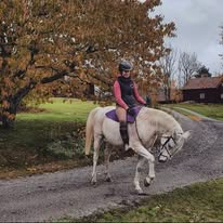 Ridlektion 3 personer+20min stallsysslor