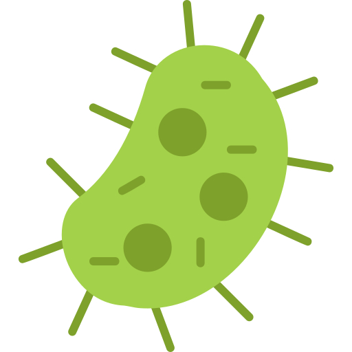 Ricerca Helicobacter Pylori