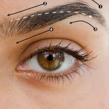 Restructuration des sourcils