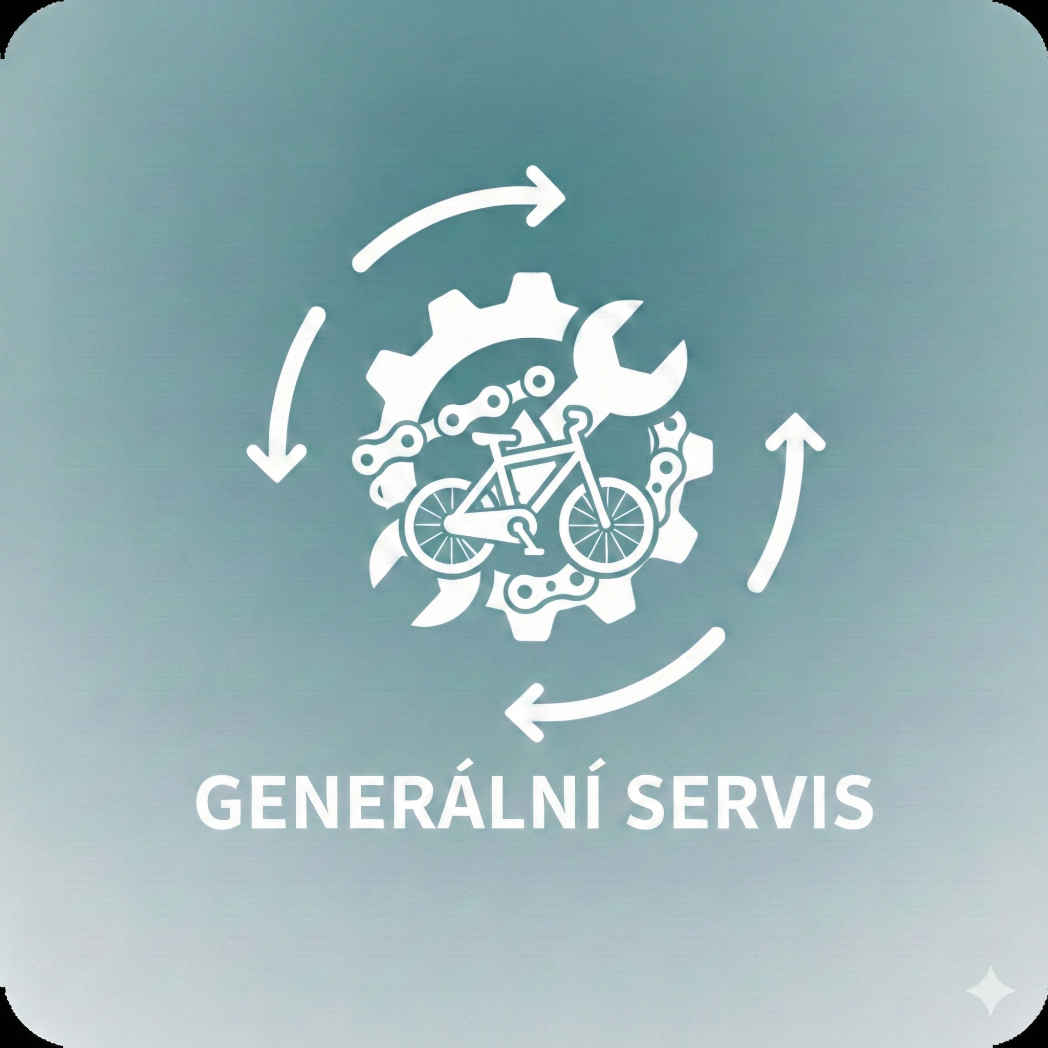 Generální servis