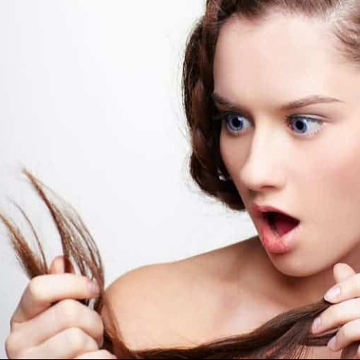 Coupe des pointes (entretient)