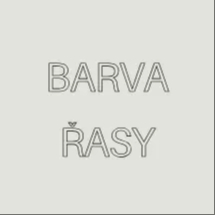 Ke kosmetice: Barvení řas // Lash tint 15 min