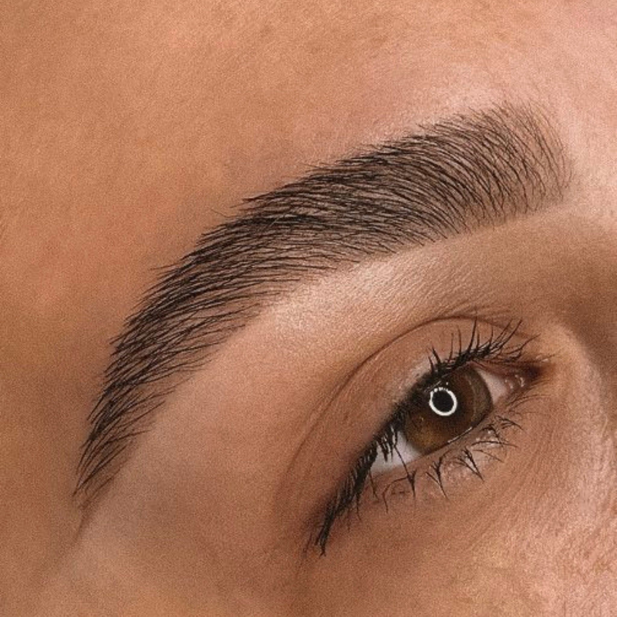 Restructuration + teinture (sans Browlift)