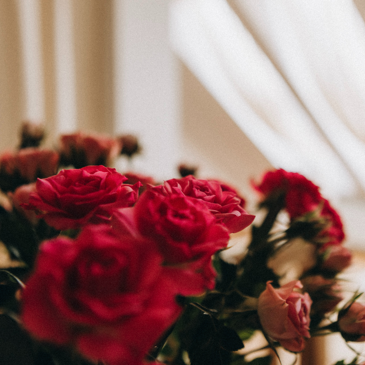 Bylinný rituál těla