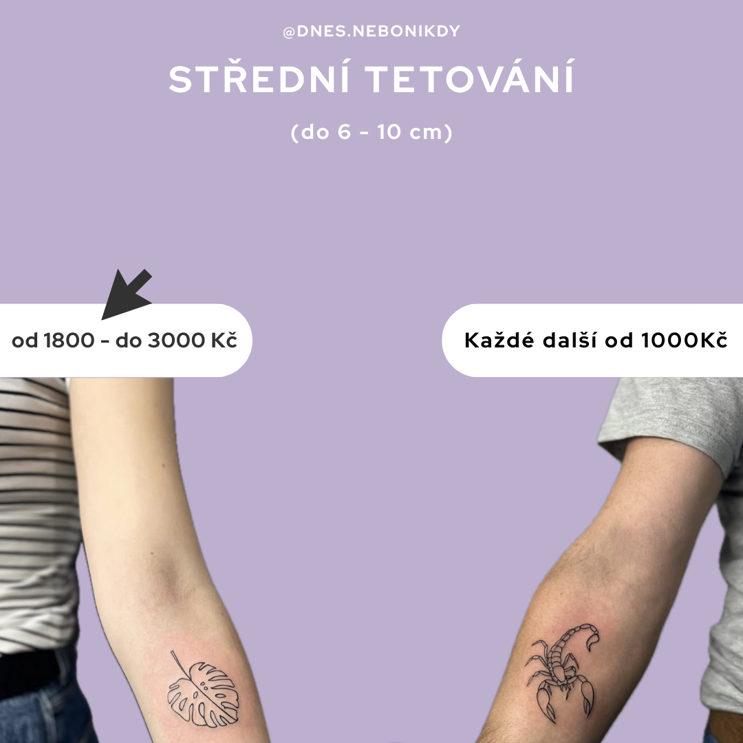 STŘEDNÍ TETOVÁNÍ (6 - 10 cm) = 1,5h