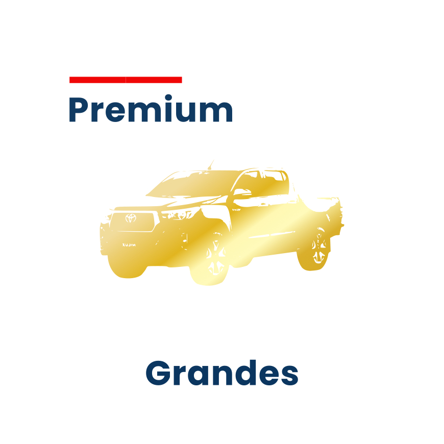 Lavagem Premium - Grandes