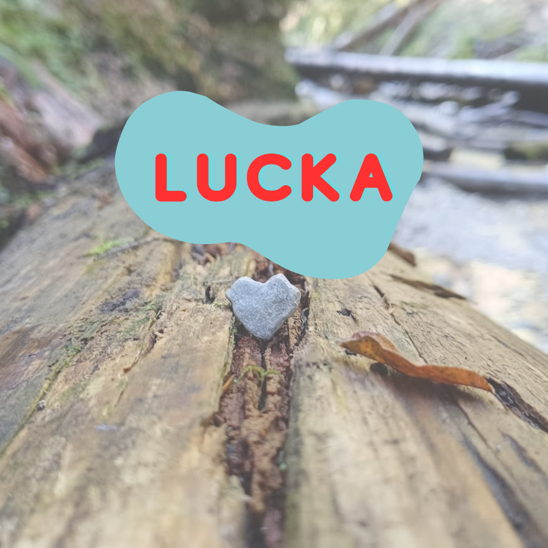 Access Bars 60 minut