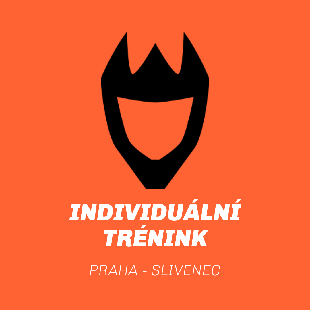 Slivenec | Individuální trénink